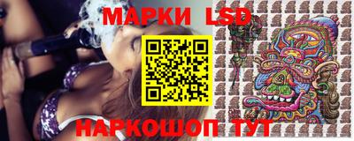 стафф Камышлов