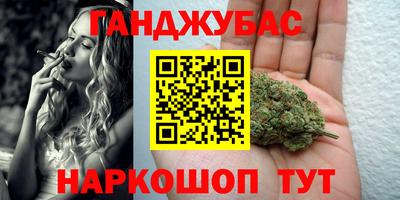 стафф Камышлов