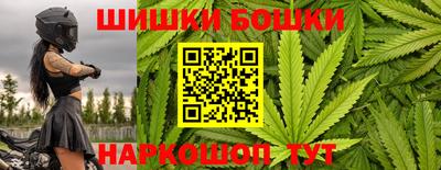 стафф Камышлов