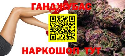 прущие грибы Канаш