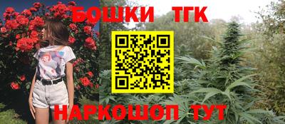 прущие грибы Канаш