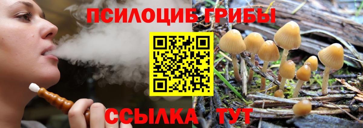 Галлюциногенные грибы прущие грибы  Галлюциногенные грибы GOLDEN TEACHER  Вход с VPN  продажа наркотиков  Ялуторовск 